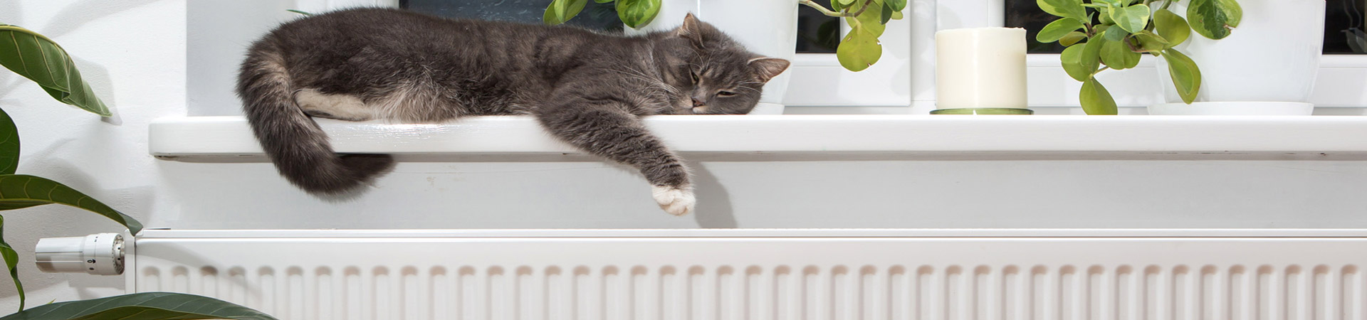 Central Heating Services