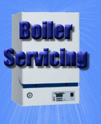 Gas Boiler Servicing