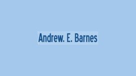 Andrew E Barnes